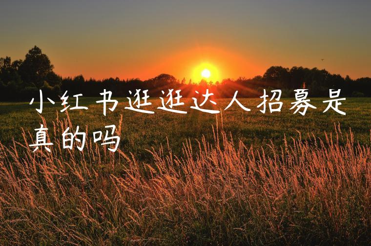 小红书逛逛达人招募是真的吗