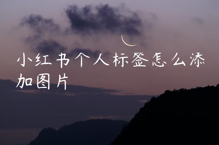 小红书个人标签怎么添加图片 小红书个人标签怎么添加图片