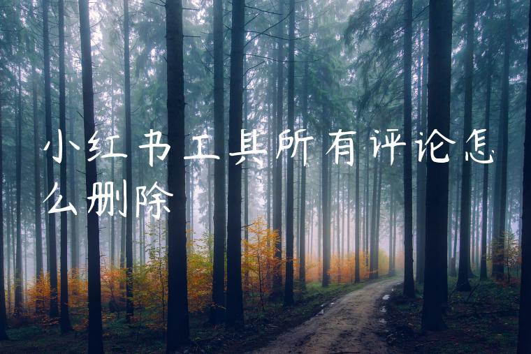 小红书工具所有评论怎么删除
