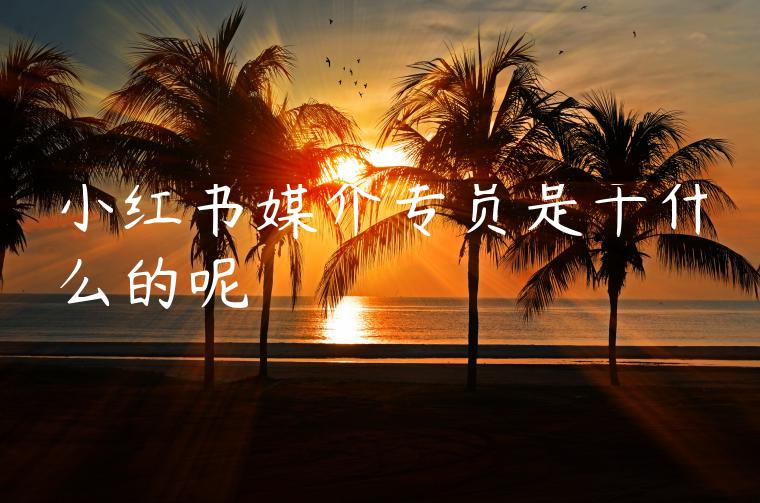 小红书媒介专员是干什么的呢