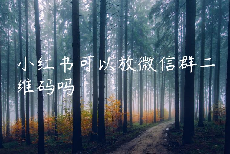 小红书可以放微信群二维码吗
