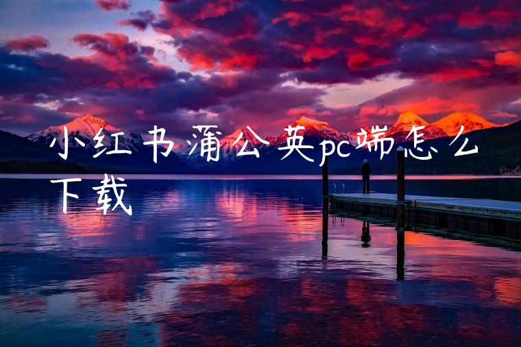 小红书蒲公英pc端怎么下载 小红书蒲公英pc端怎么下载