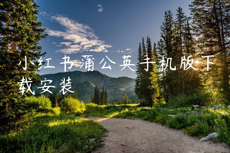 小红书蒲公英手机版下载安装