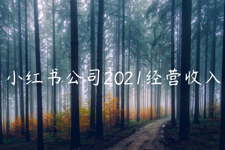小红书公司2021经营收入 小红书公司2021经营收入