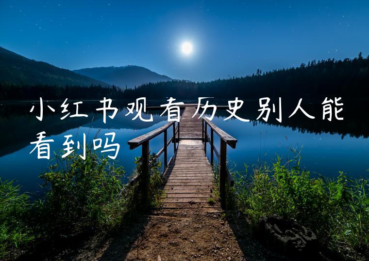 小红书观看历史别人能看到吗 小红书观看历史别人能看到吗