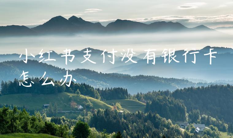 小红书支付没有银行卡怎么办