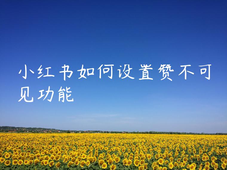 小红书如何设置赞不可见功能 小红书如何设置赞不可见功能