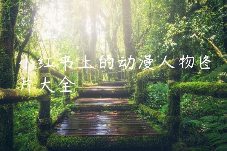 小红书上的动漫人物图片大全 小红书上的动漫人物图片大全