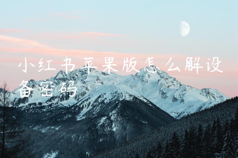小红书苹果版怎么解设备密码