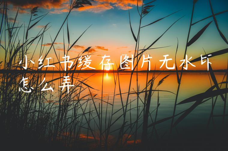 小红书缓存图片无水印怎么弄