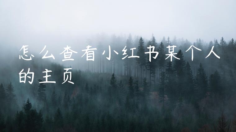 怎么查看小红书某个人的主页 怎么查看小红书某个人的主页