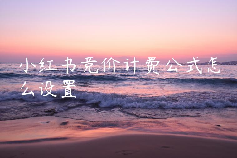 小红书竞价计费公式怎么设置 小红书竞价计费公式怎么设置