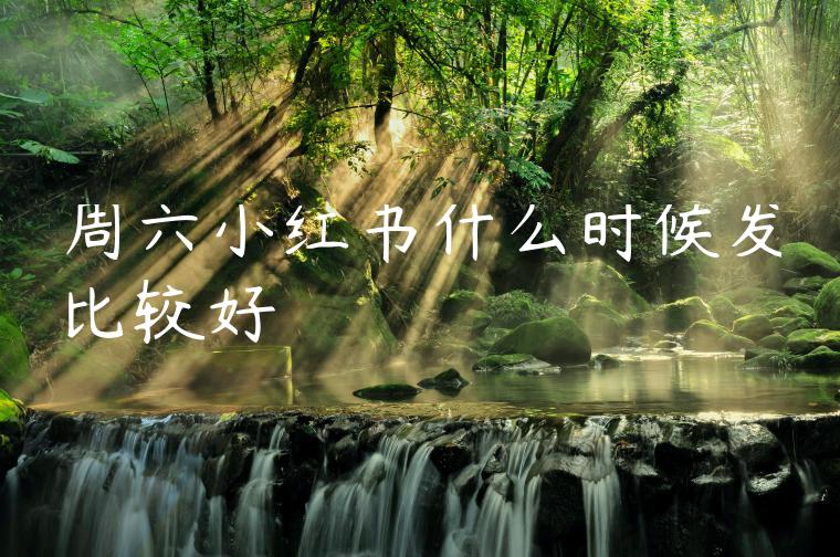 周六小红书什么时候发比较好 周六小红书什么时候发比较好