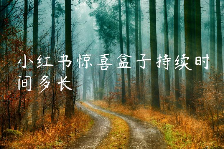 小红书惊喜盒子持续时间多长