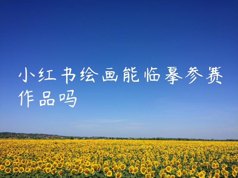 小红书绘画能临摹参赛作品吗