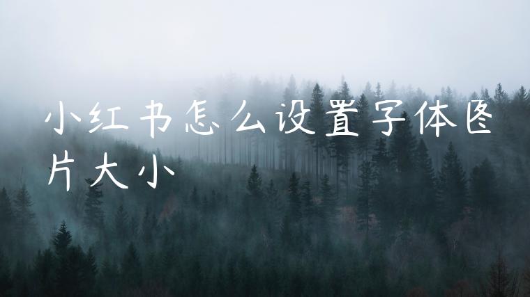 小红书怎么设置字体图片大小 小红书怎么设置字体图片大小