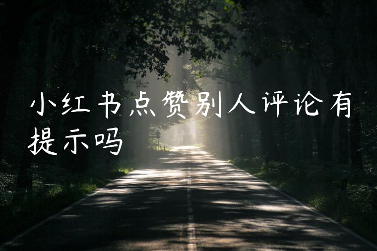 小红书点赞别人评论有提示吗