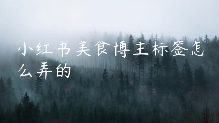 小红书美食博主标签怎么弄的 小红书美食博主标签怎么弄的