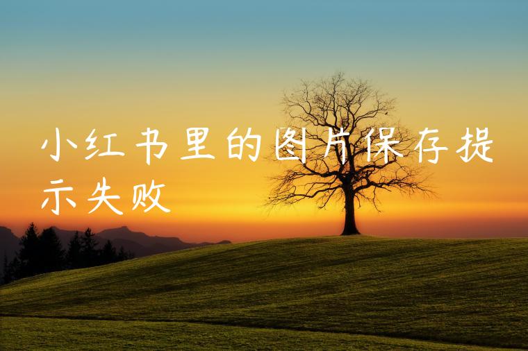 小红书里的图片保存提示失败 小红书里的图片保存提示失败