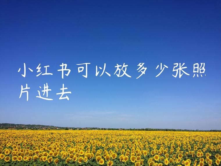 小红书可以放多少张照片进去