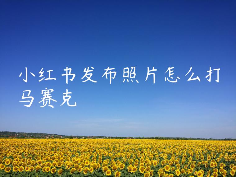 小红书发布照片怎么打马赛克