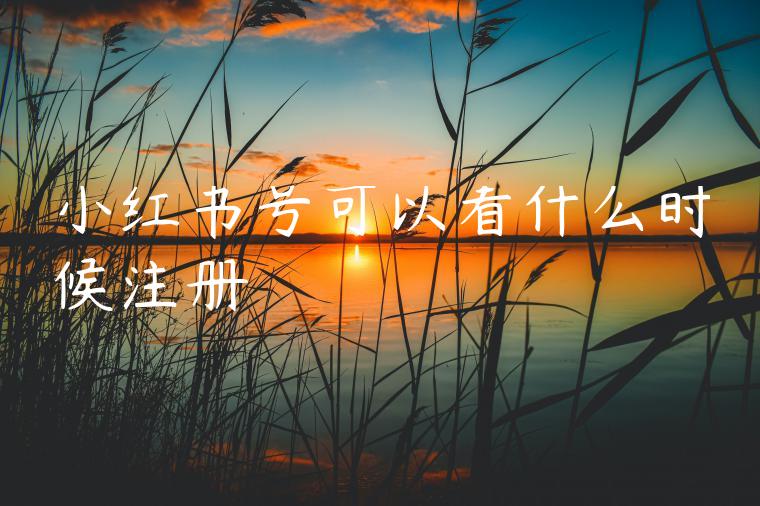 小红书号可以看什么时候注册