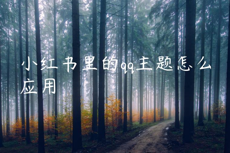 小红书里的qq主题怎么应用