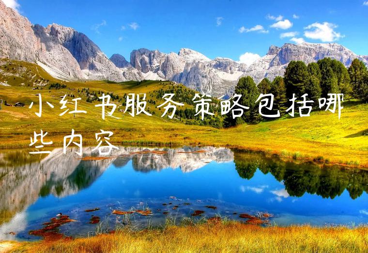 小红书服务策略包括哪些内容