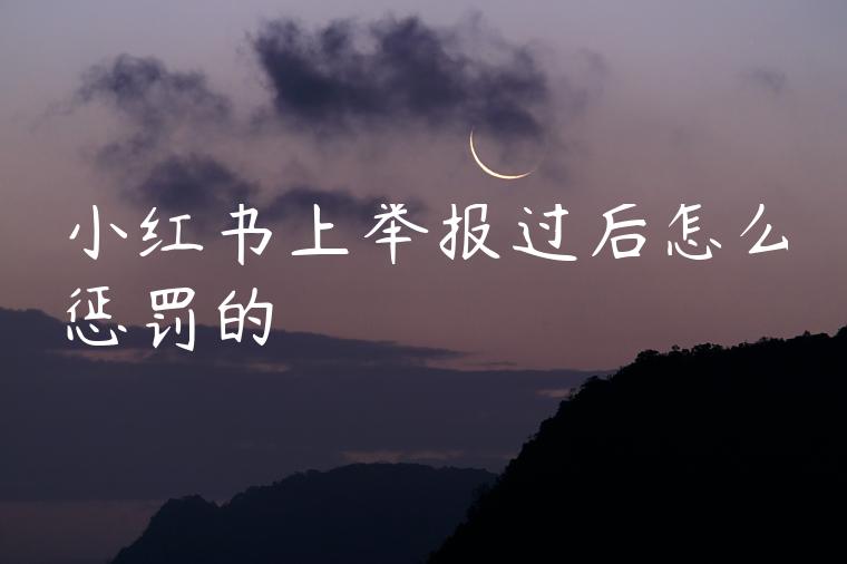 小红书上举报过后怎么惩罚的 小红书上举报过后怎么惩罚的
