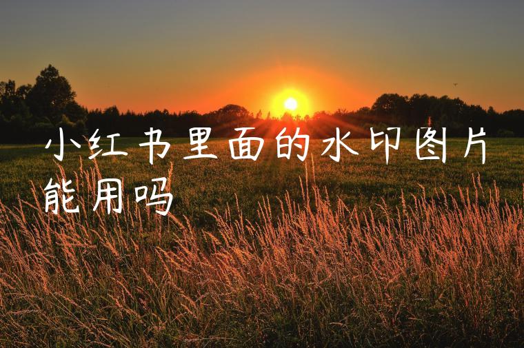 小红书里面的水印图片能用吗 小红书里面的水印图片能用吗