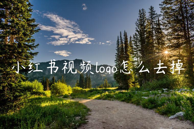 小红书视频logo怎么去掉