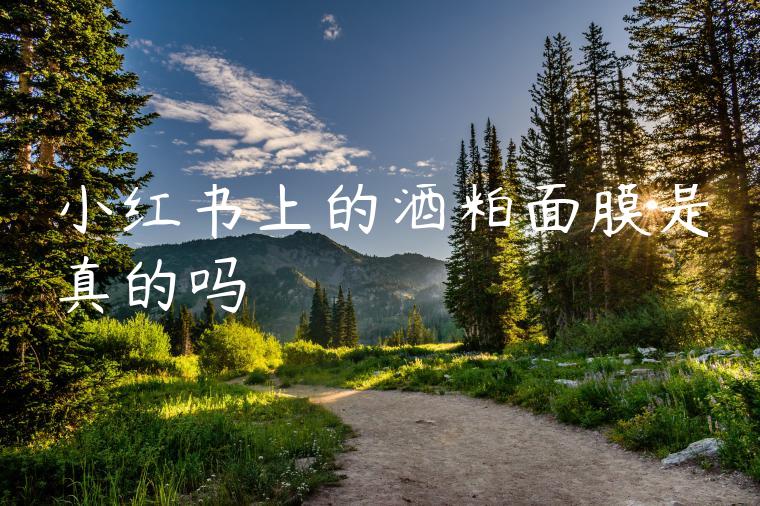小红书上的酒粕面膜是真的吗