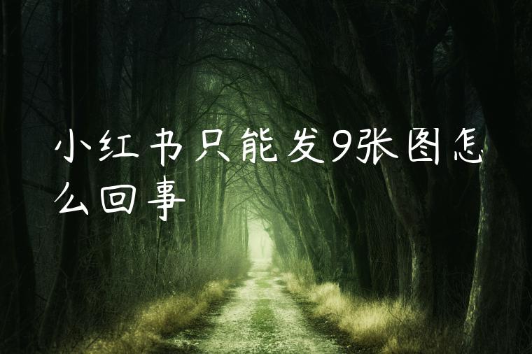 小红书只能发9张图怎么回事