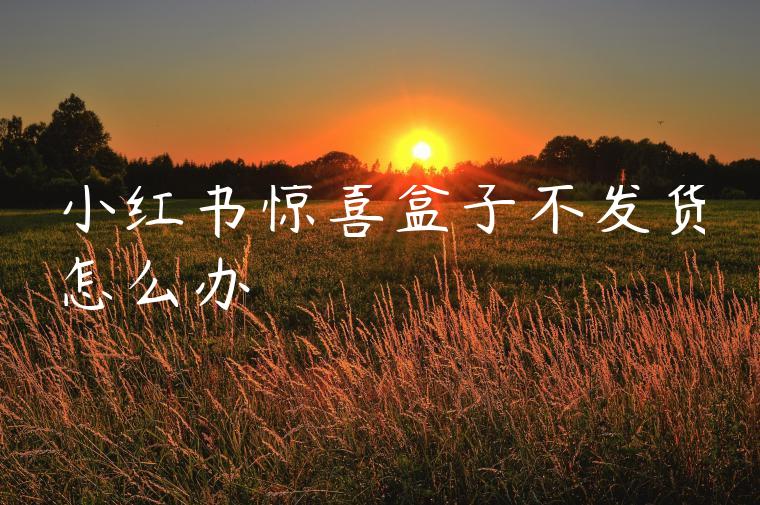 小红书惊喜盒子不发货怎么办