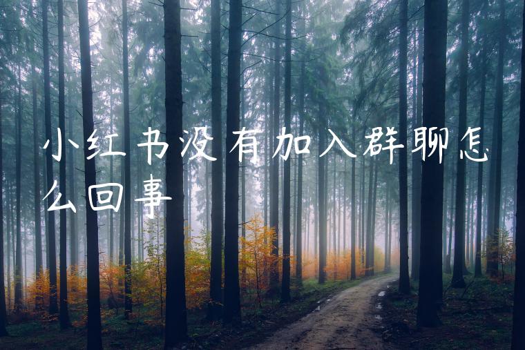 小红书没有加入群聊怎么回事 小红书没有加入群聊怎么回事