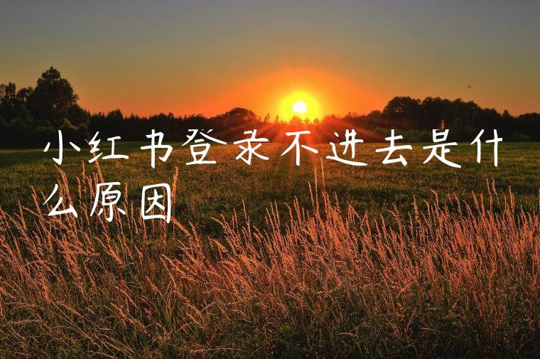 小红书登录不进去是什么原因