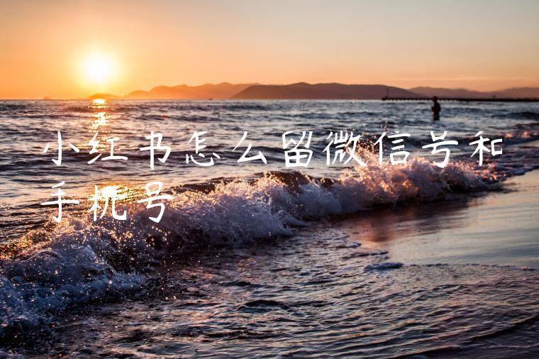 小红书怎么留微信号和手机号