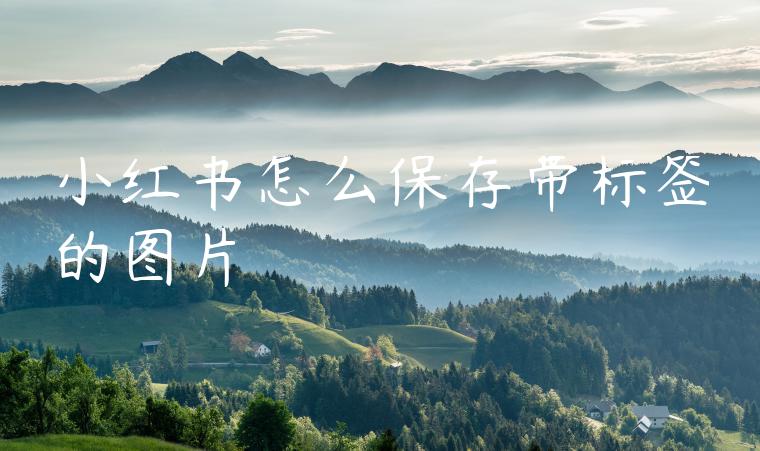 小红书怎么保存带标签的图片