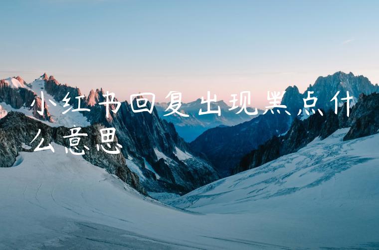 小红书回复出现黑点什么意思