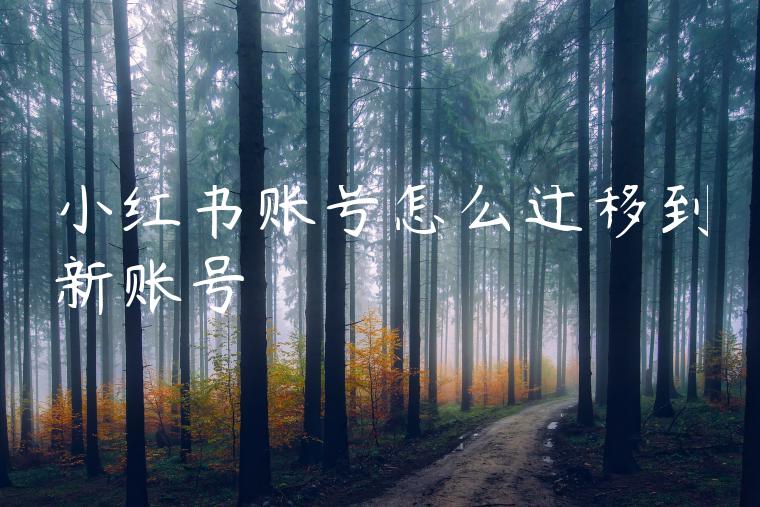 小红书账号怎么迁移到新账号