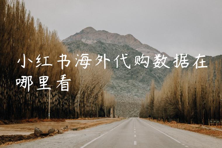 小红书海外代购数据在哪里看