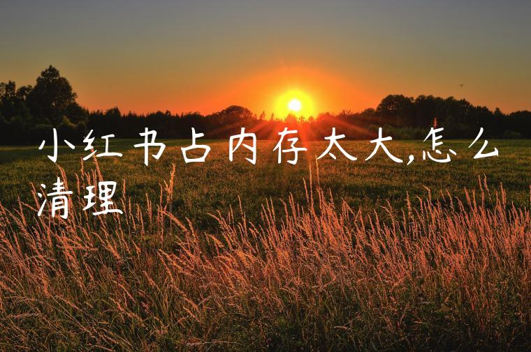 小红书占内存太大,怎么清理 小红书占内存太大,怎么清理