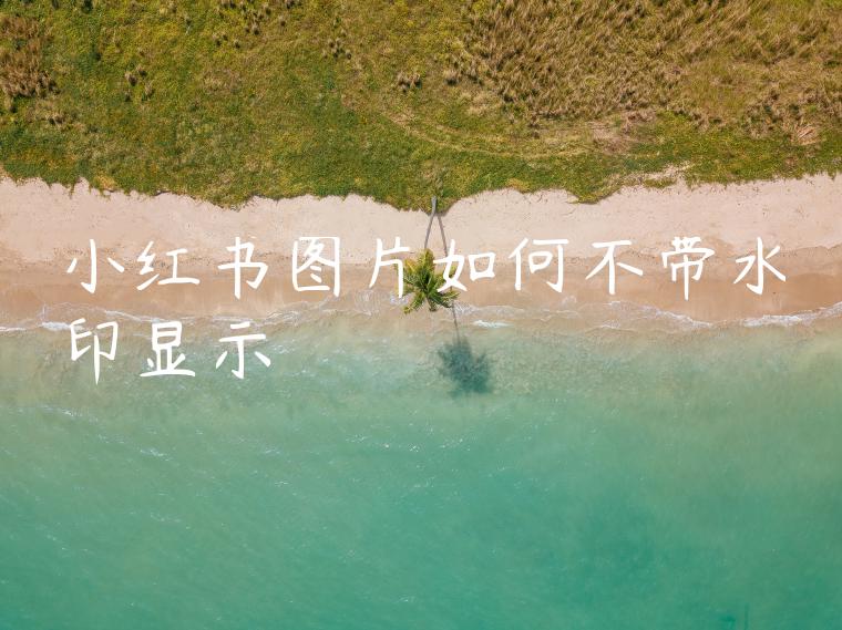 小红书图片如何不带水印显示