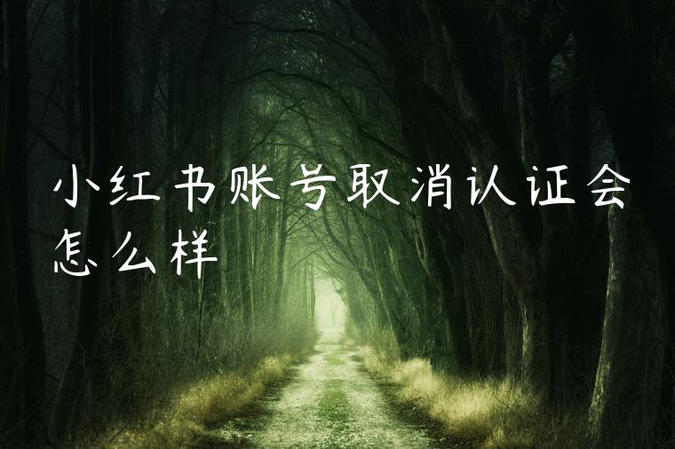 小红书账号取消认证会怎么样