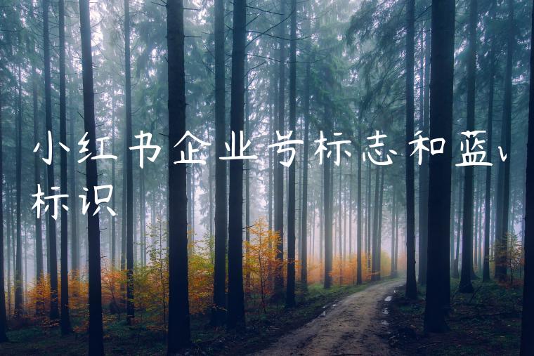 小红书企业号标志和蓝v标识 小红书企业号标志和蓝v标识