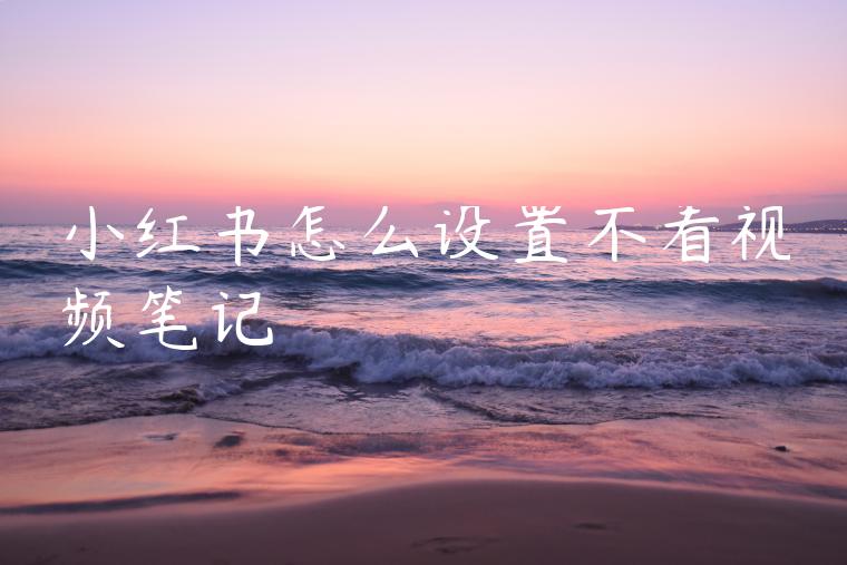 小红书怎么设置不看视频笔记 小红书怎么设置不看视频笔记
