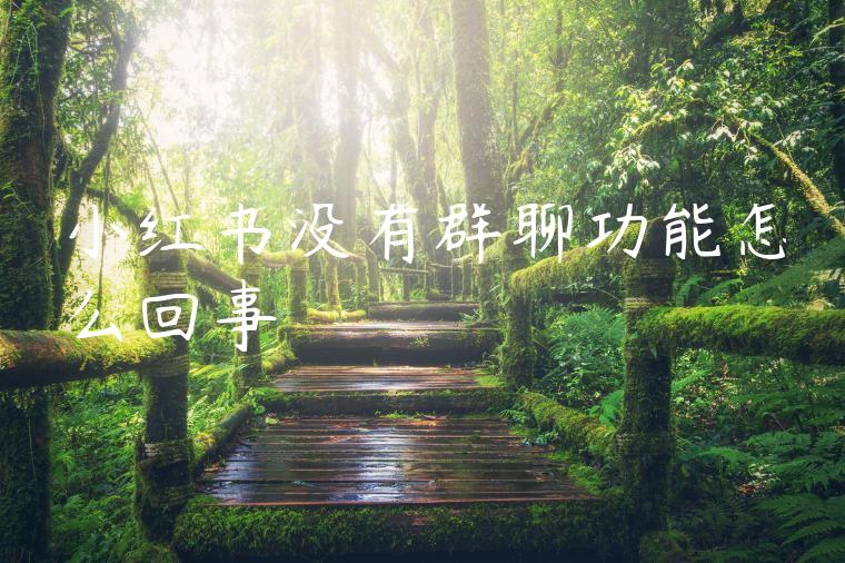 小红书没有群聊功能怎么回事 小红书没有群聊功能怎么回事