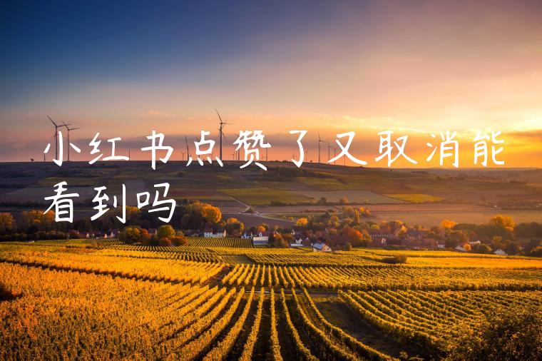 小红书点赞了又取消能看到吗