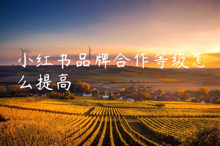 小红书品牌合作等级怎么提高