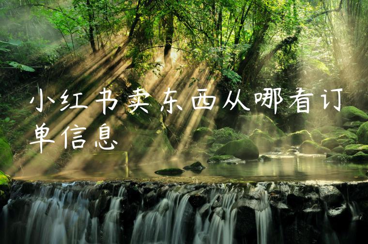 小红书卖东西从哪看订单信息